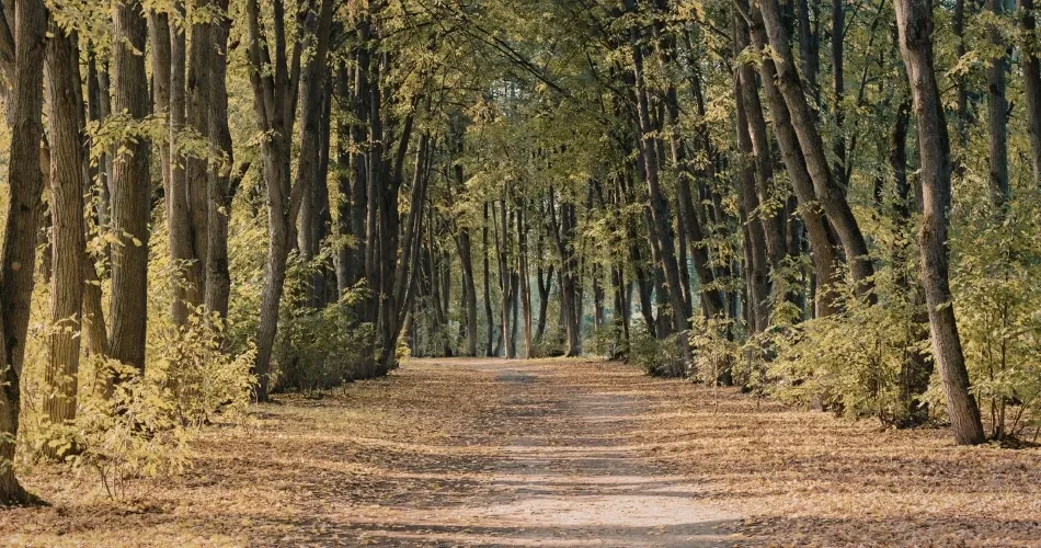 Best Hiking Trails and Scenic Nature Spots Around Sacramento