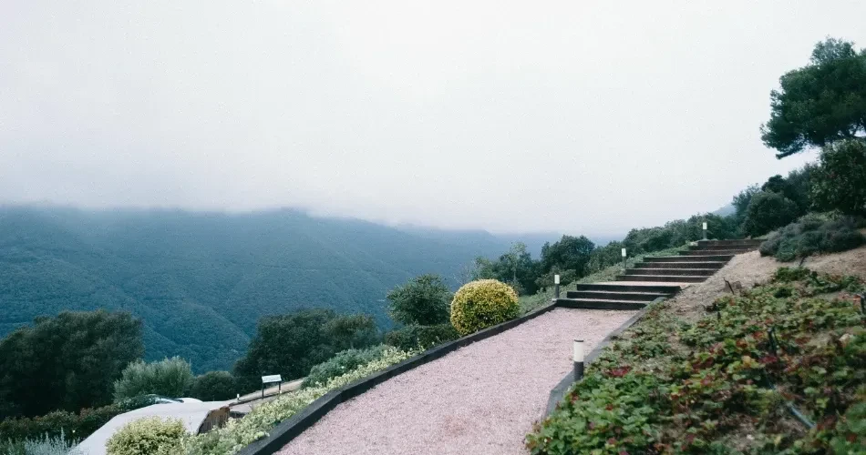 Best Hiking Trails and Scenic Nature Spots Around Sacramento