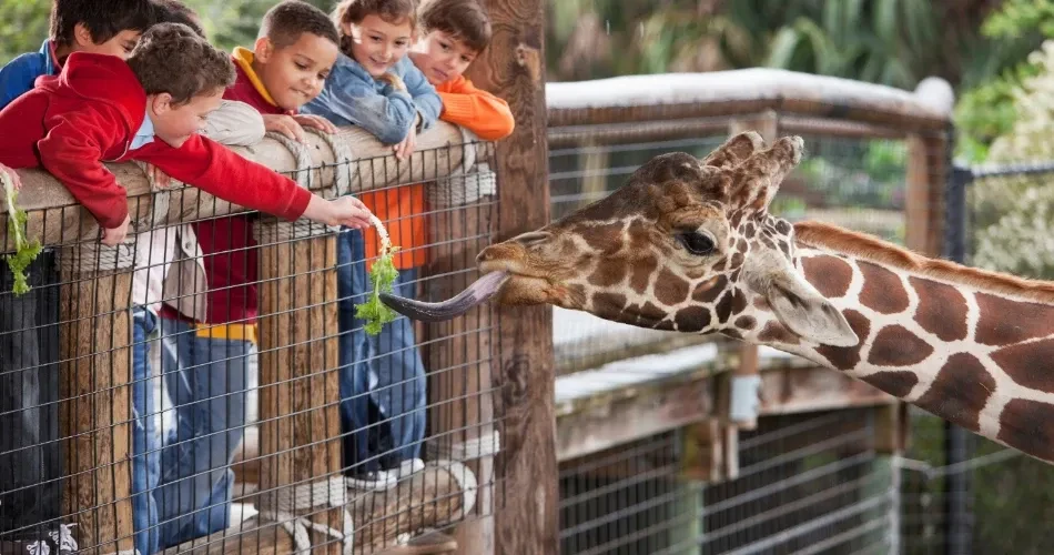 Top Family-Friendly Things to Do in Sacramento with Kids